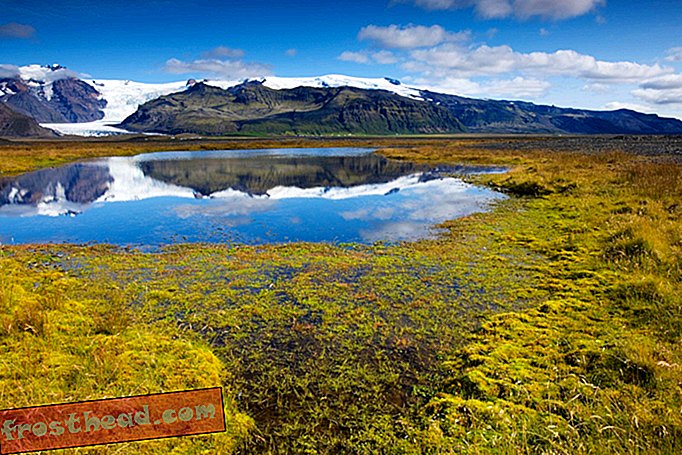 See Islandi liustik võitleb elus püsimiseks