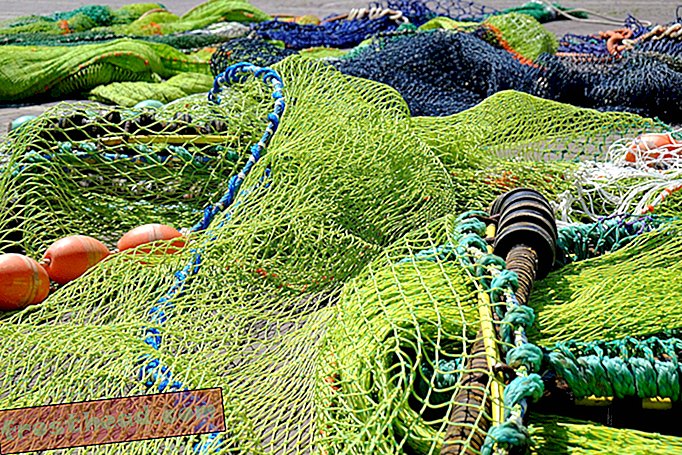 Глобална рибарска флота отпада десет посто улова