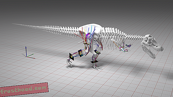 pametne vijesti, pametne vijesti - Žestoki T. Rex bio je hodač a ne sprinter