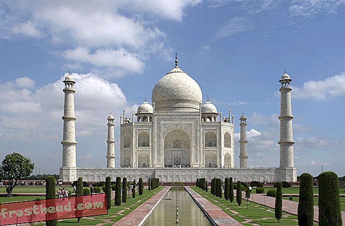 Bug Poop Vender Taj Mahal Green
