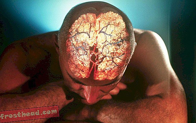 Az emberek agykémiája felfedheti halálának óráját