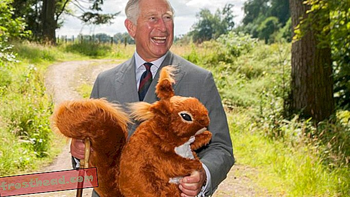 älykkäät uutiset, älykkäät uutiset - Prinssi Charles taistelee oravia käyttämällä ehkäisyvälineitä ja paljon Nutellaa
