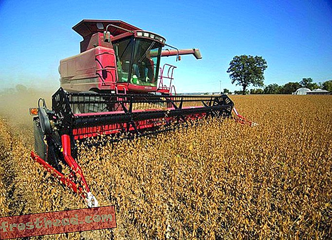 Пять вещей, которые нужно знать о новом законе о маркировке ГМО