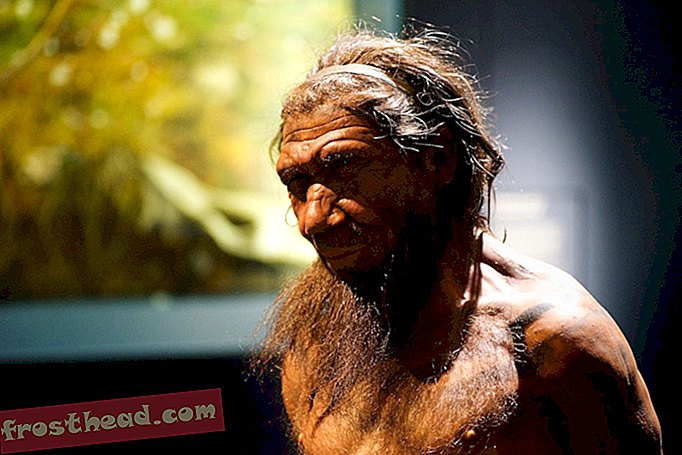 Неандерталци су нам могли пружити и добре гене и гадне болести-паметне вести, паметне науке о вестима