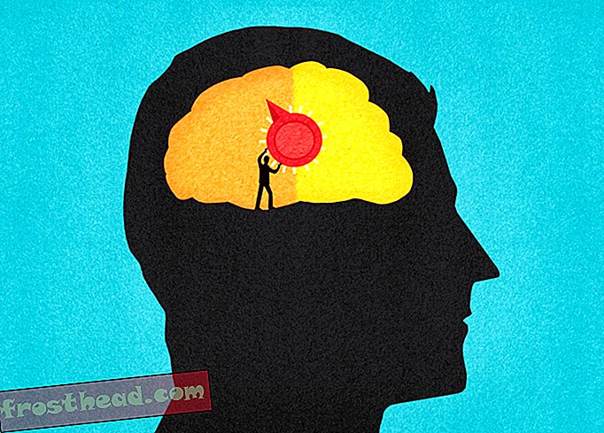 Beliebter Brain Game Maker Luminosity wird wegen falscher Werbung bestraft