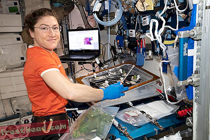 Christina Koch devrait passer 328 jours dans l'espace, un record pour les femmes astronautes