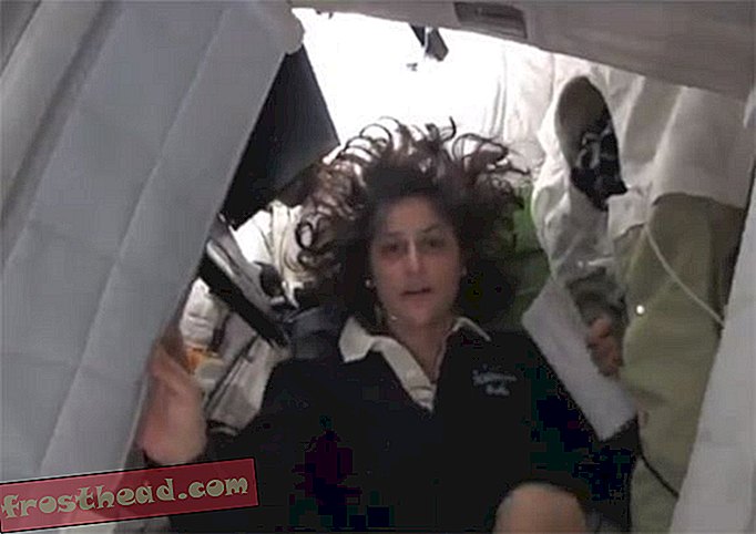 Deixe o astronauta Sunita Williams levá-lo em um tour guiado da ISS