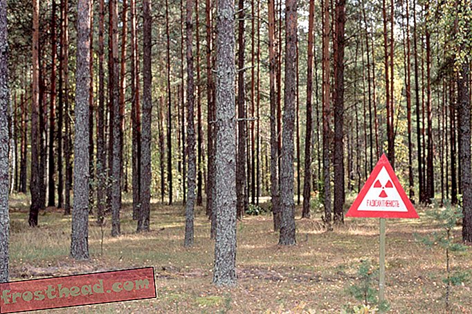 Los riesgos del fuego alrededor de Chernobyl