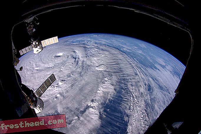 интелигентни новини, умни новини - Астронавтите направиха снимки на тайфун неогури - и изглежда огромно, дори от космоса