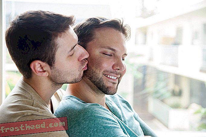 slim nieuws, slimme nieuwswetenschap - Amerika tot koppels van hetzelfde geslacht: Natuurlijk, u kunt wettelijke rechten hebben, kus gewoon niet voor ons