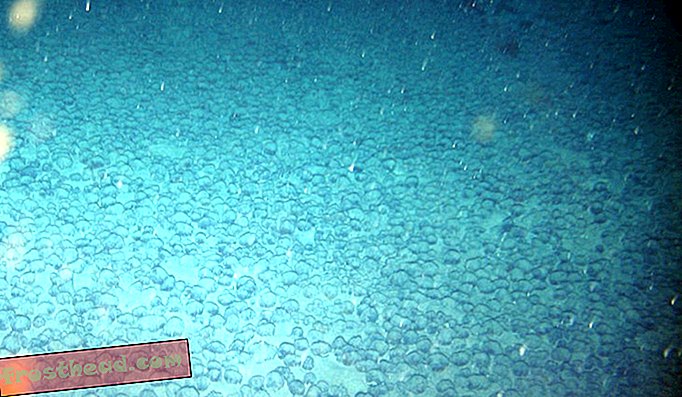 Et undervandsfelt med rare metalbolde er en nøgle til både fortid og fremtid
