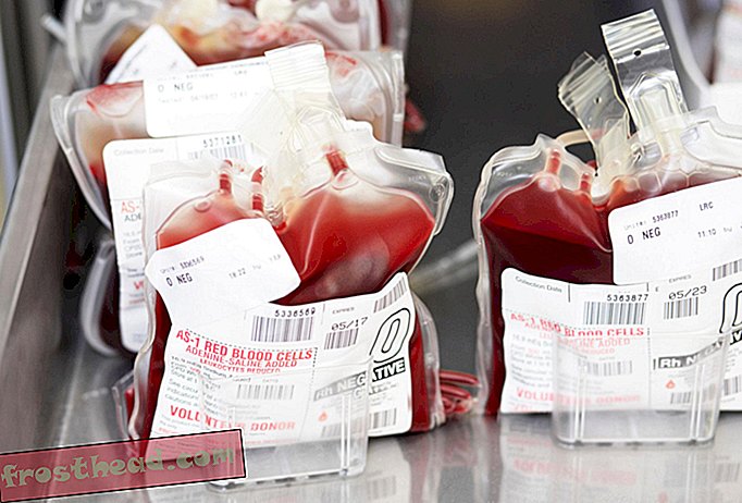 Los investigadores se acercan a hacer de todos un donante universal de sangre