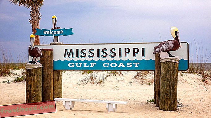 noticias inteligentes, ciencia de noticias inteligentes - La floración de algas tóxicas obliga a Mississippi a cerrar todas sus playas continentales