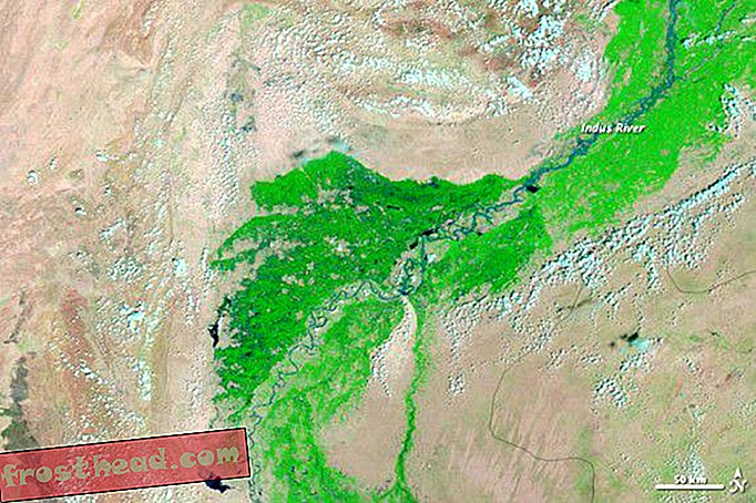 pametne vijesti, pametne vijesti - Poplava u Pakistanu prijeti ostatkom civilizacije stare 4500 godina