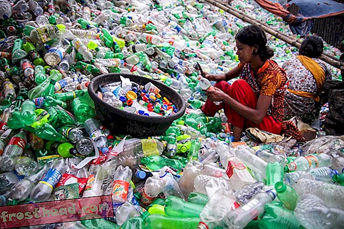 Les bactéries absorbant le plastique pourraient-elles sauver l'environnement?