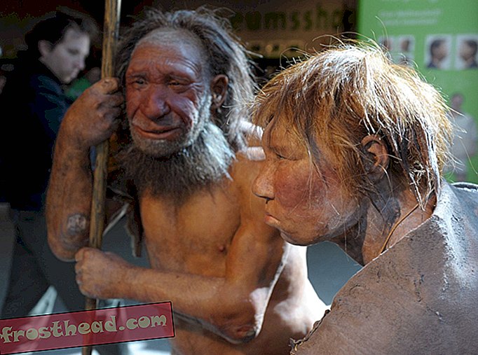 Menneskelige sygdomme kan have været dømt til neandertalerne