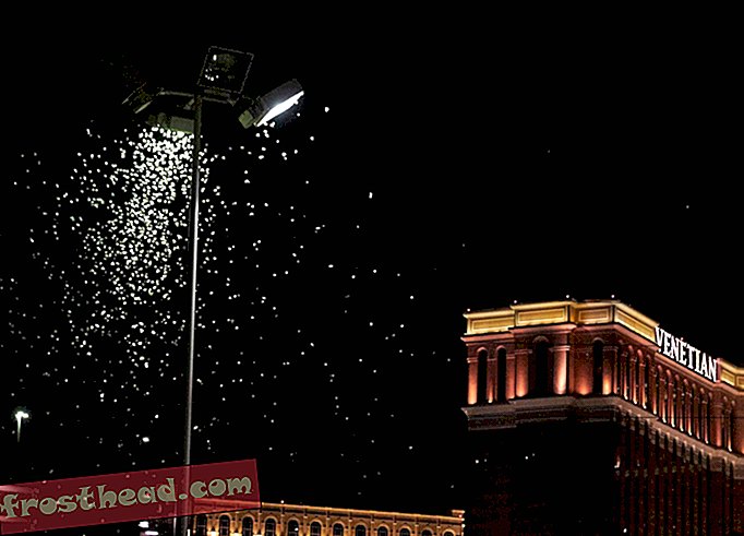Sværme af græshoppere, der invaderer Las Vegas, er synlige på radar