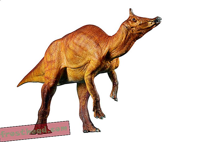 חדשות חכמות, מדע חדשות חכמות - הכירו את הדינוזאור של מדינת קליפורניה החדשה