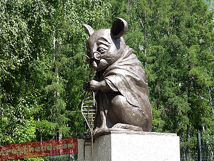 älykkäät uutiset, älykkäät uutiset - Tämä venäläinen monumentti kunnioittaa nöyrää laboratoriohiiriä
