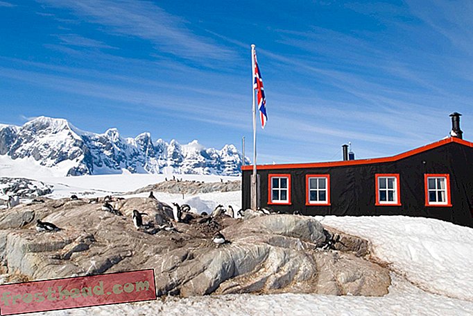 Souhaitez-vous vivre dans un bureau de poste de pingouin antarctique?