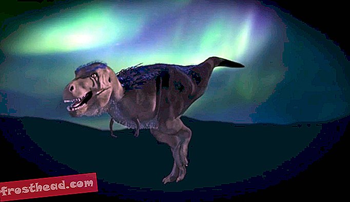 Lad os introducere dig for en lille arktisk tyrannosaurs