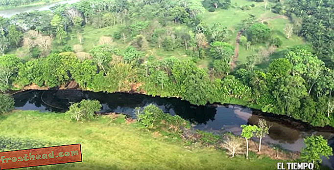 Derrame de petróleo en Colombia mata a 2.400 animales