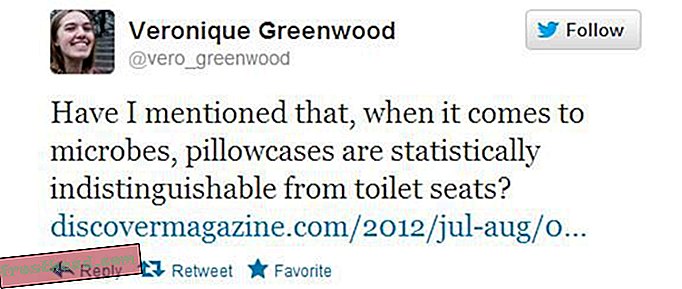 паметне вести, паметне науке о вестима - Гермофоби Запамтите: јастучница је прљава колико и ваш тоалет