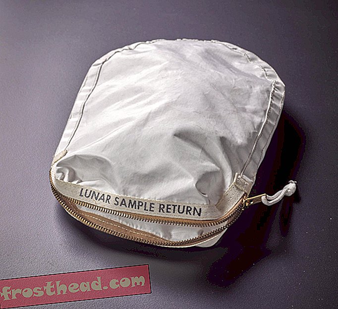 Apollo 11 Moon Rock kott müüakse vastuolulisel oksjonil 1,8 miljoni dollari eest