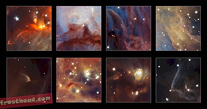 Des images époustouflantes capturent des étoiles et des objets de la taille d'une planète qui ont échoué à l'intérieur de la nébuleuse d'Orion