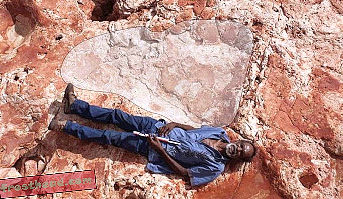 Huella de dinosaurio más grande descubierta en Australia occidental