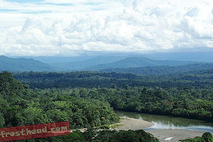 Novi sporazum bo pomagal zaščititi Amazonsko kotlino