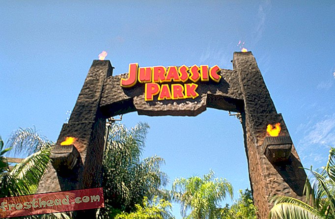 smarte nyheder, smarte nyhedsvidenskab - Jurassic Park kan have haft ret - nogle dinosaurer jaget i pakker