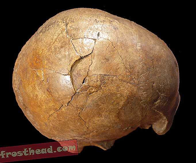 Овај стар 33.000 година могао је да убије леви убица