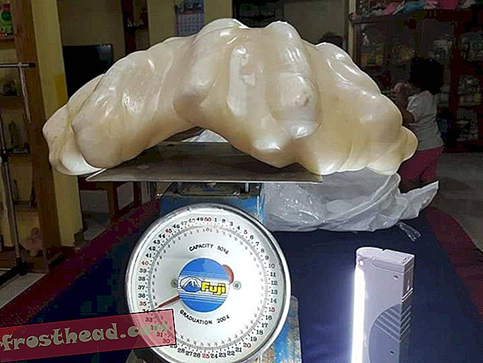 Mit 75 Pfund könnte dies die größte Perle der Welt sein