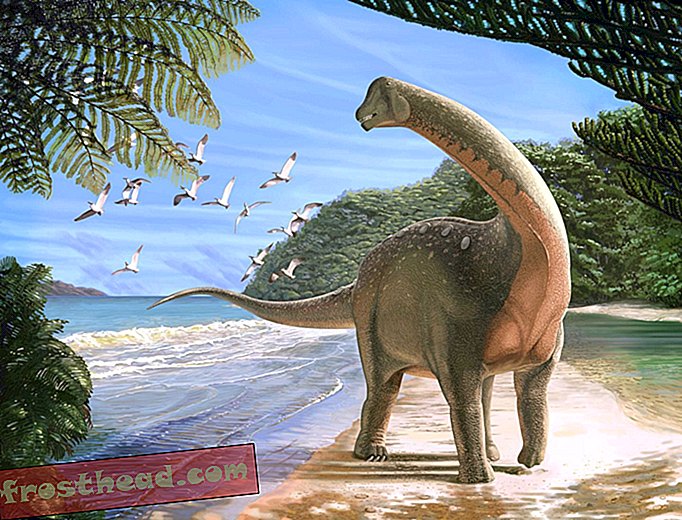 תגלית טיטנוזאור אפריקאית עוזרת להתיר את התפתחות הדינוזאורים