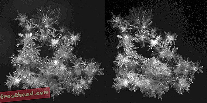интелигентни новини, умни новини - Първите снимки на свободно падащи снежинки разкриват своите несъвършенства