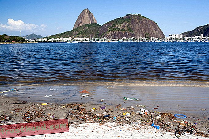 Zakaj se Mednarodni olimpijski odbor skrbi za kakovost vode v Riu