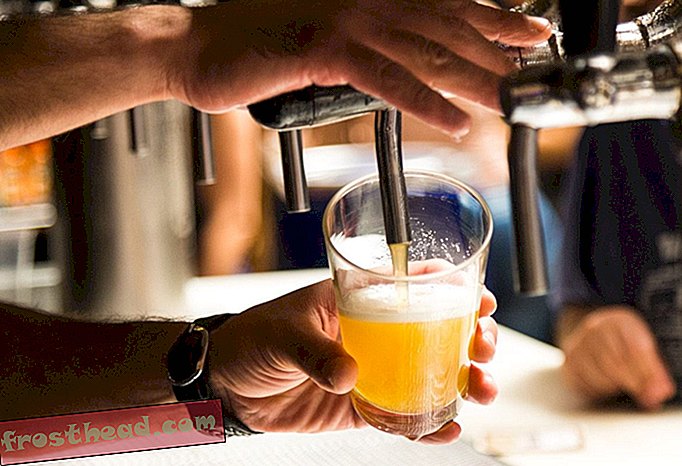 Les scientifiques préparent une bière houblonnée sans le houblon