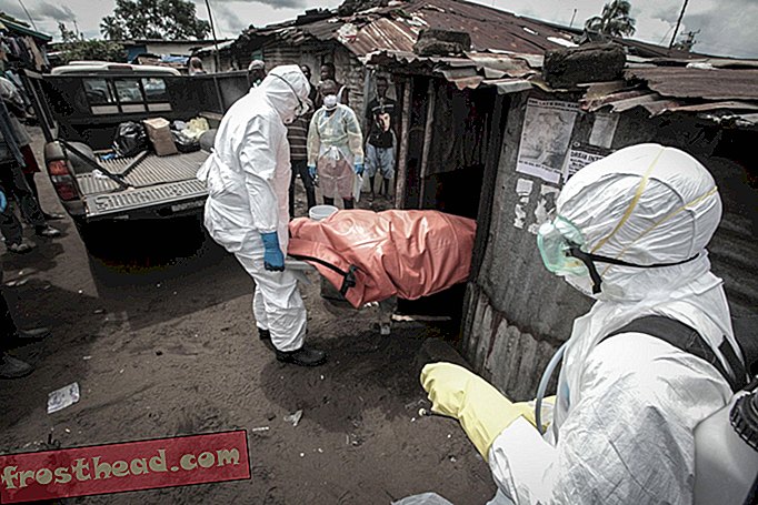älykkäät uutiset, älykkäät uutiset - Jopa länsiafrikkalaiset, jotka eivät tartu ebolaa, ovat kärsivät taudista