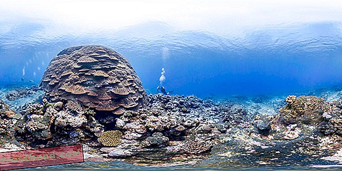 Prenez un bain virtuel à travers cinq sanctuaires marins