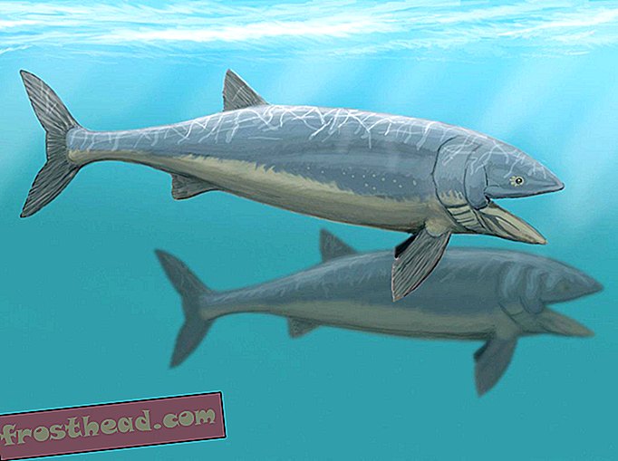 ¿Por qué se extinguieron la mayoría de los gigantes gigantes de peces óseos?