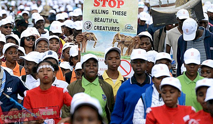 Na stotine je sodelovalo na Globalnem maršu za slone, nosoroge in leve 7. oktobra 2017 v mestu Gaborone v Bocvani.