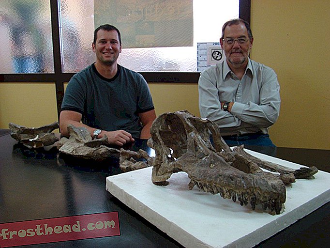 Nyoppdagede dinosaurarter hadde stor syn og et droopy hode