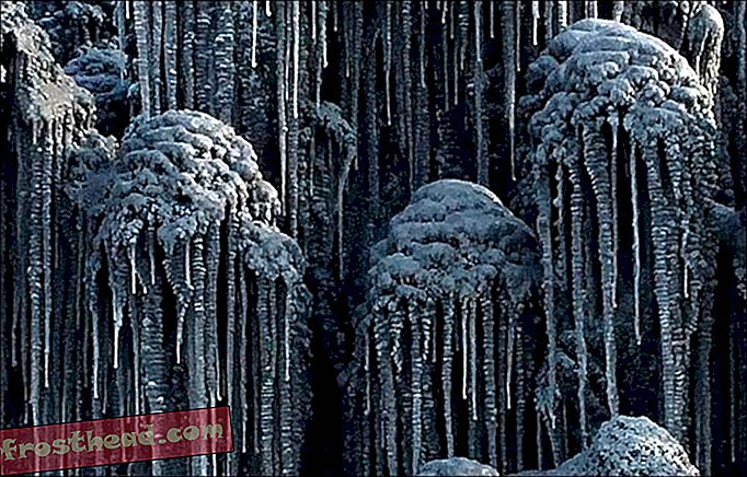 חדשות חכמות, מדע חדשות חכמות - בסיביר, שלג שחור רעיל חושף את אגרה של כריית פחם