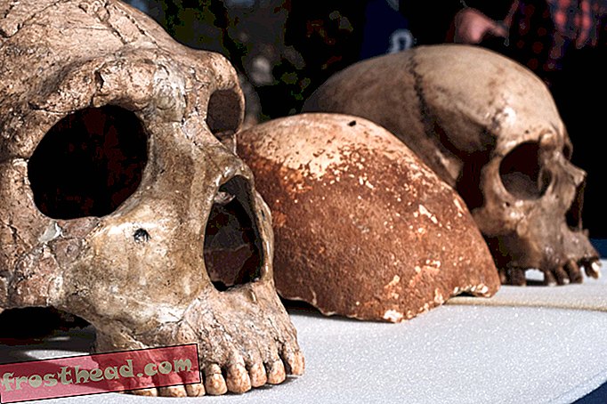 Οι άνθρωποι μπορεί να είχαν ρομαντική εκδίκηση με τους Νεάντερταλ 100.000 χρόνια νωρίτερα