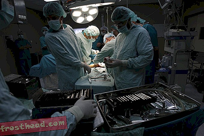 Хирурги готовы поставить пациентов с травмой в спячку-умные новости, умные новости науки
