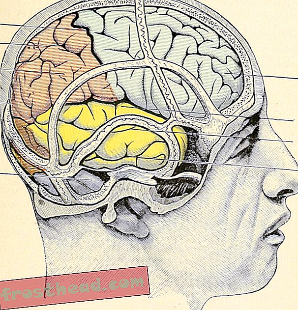 Древняя техника тренировки мозга может улучшить память