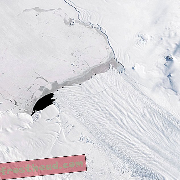 Les inondations mondiales passées montrent que la glace de l'Antarctique est plus fragile que nous le pensions