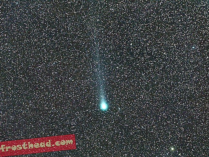 El cometa Lovejoy es una roca espacial borracha