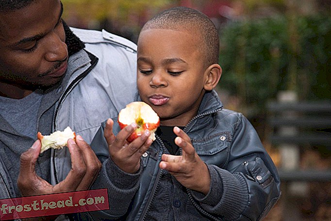 älykkäät uutiset, älykkäät uutiset - Amerikkalaiset lapset ovat pakkomielle omenoita